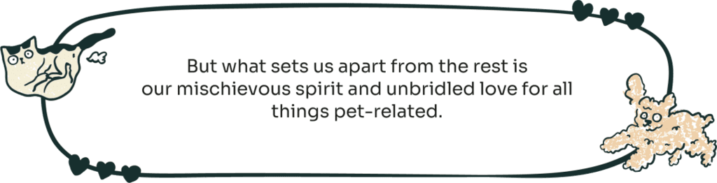 About Us
